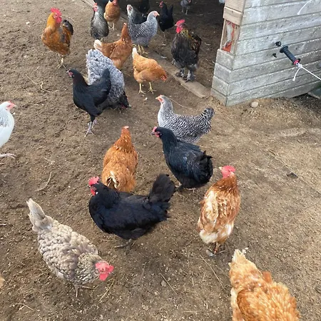 Couette-café Kreativgard Hoge